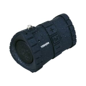 Caixa De Som Portatil Toshiba Ty-wsp100k Com Bluetooth Preto