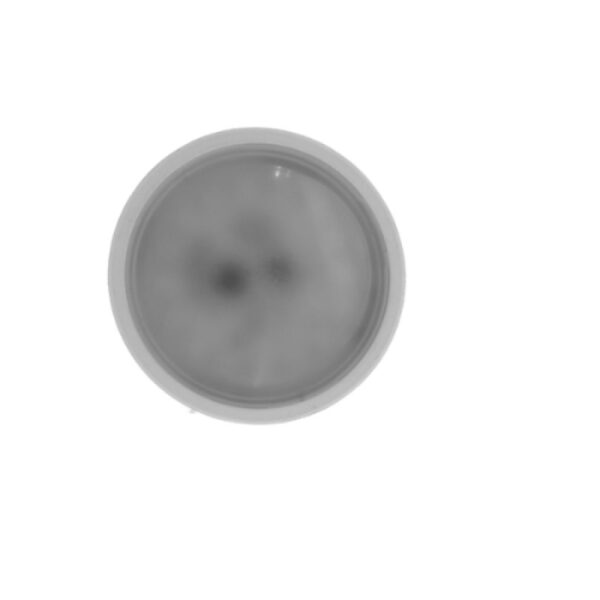 Lâmpada Led Inteligente Nexxt Home Nhb-w310 127v